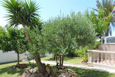 Villa Homing Cambrils 23