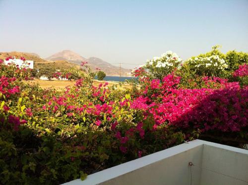 Hostal Porto Milos