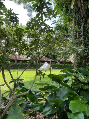 Glamping Resort @ Kranji