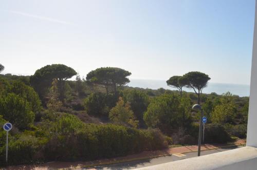 Villa Luxury Ocean View 100m From The Beach And Pool !!!