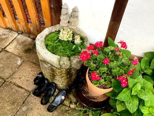 Hostal Jeonju Hanok Village Jamanjae