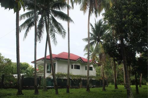 Hostal Casa Amigo