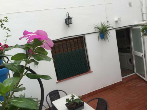 Apartamento El Patio de La Aljama