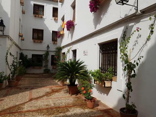 Apartamento El Patio de La Aljama