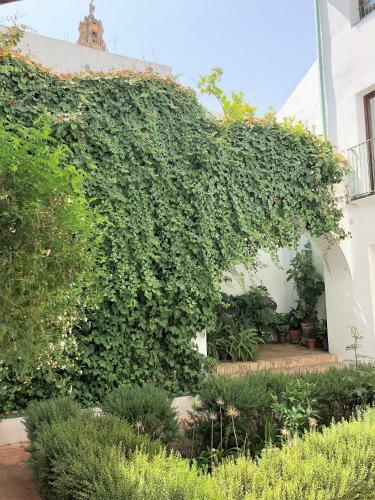 Apartamento El 5 de La Hoguera