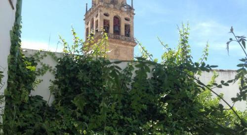 Apartamento Entre 2 Mezquitas