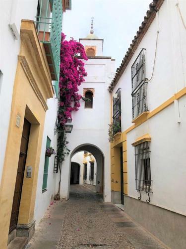 Apartamento Entre 2 Mezquitas
