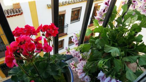 Apartamento Patios de San Pedro