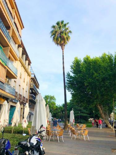 Apartamento Entre Patios La Victoria