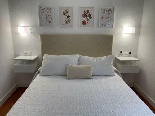 Apartamento Paseo De La Rivera