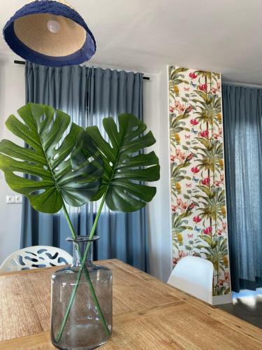 Apartamento Atico Casa Lola