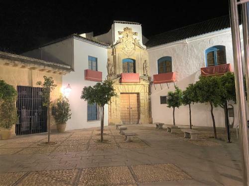 Apartamento La Azotea de Viana