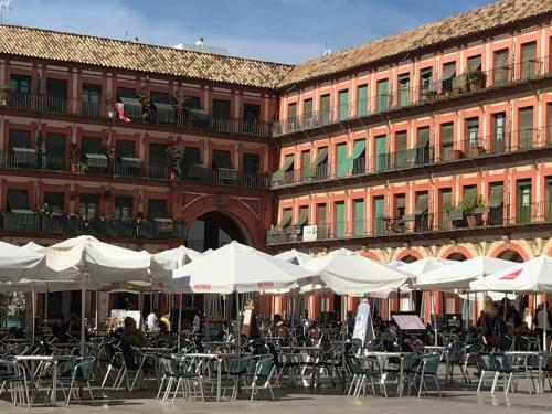 Apartamento Completo Regina