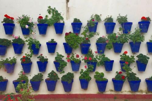 Apartamento Toril-casco Hist�rico