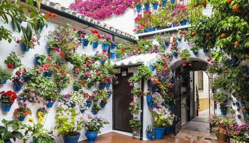 Apartamento Hacienda Miraflores
