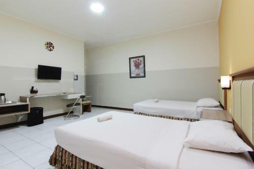 Hostal Hotel Palem