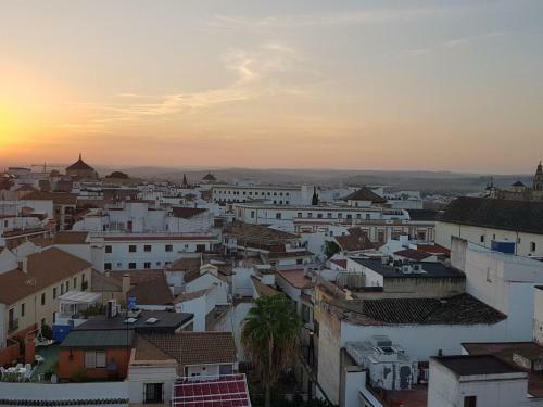 Panorama C�rdoba Center D Apartment