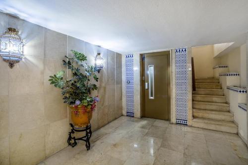 San Miguel, C�modo Apartamento En Pleno Centro