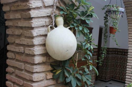 Apartamento Casa Con Patio Mar�a Auxiliadora