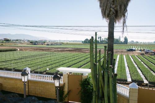 Apartamento Casa Rural El Olivo de C�rdoba