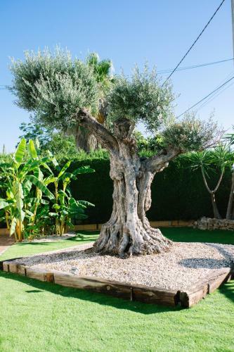 Apartamento Casa Rural El Olivo de C�rdoba