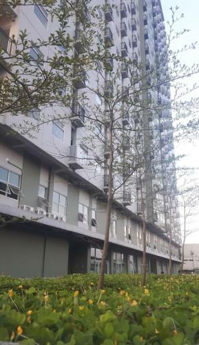 Apartamento Scandinavian Asia Afrika