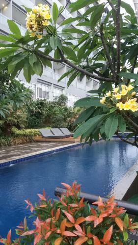Apartamentos Studio28 At Clove Garden