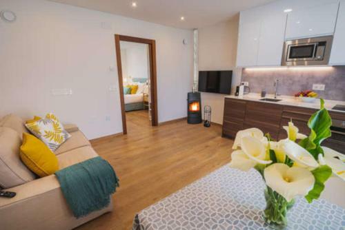Apartamentos Mirador de Vid�o