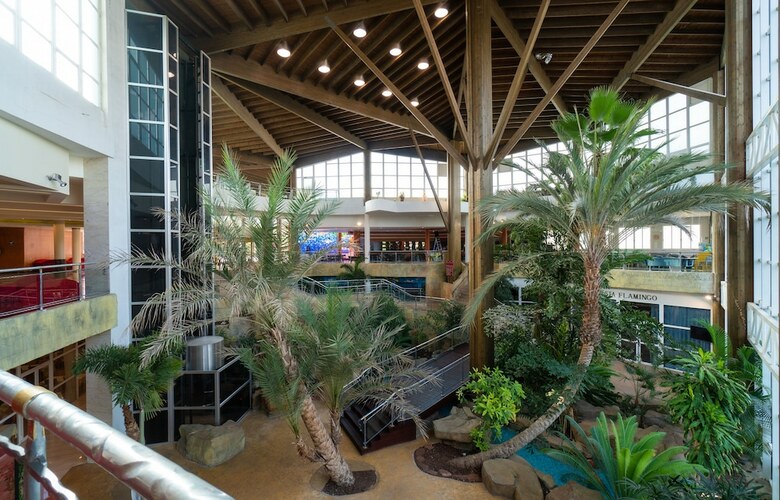 Hotel Flamingo Oasis