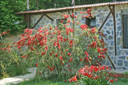 Ormanevi Otantik Hotel