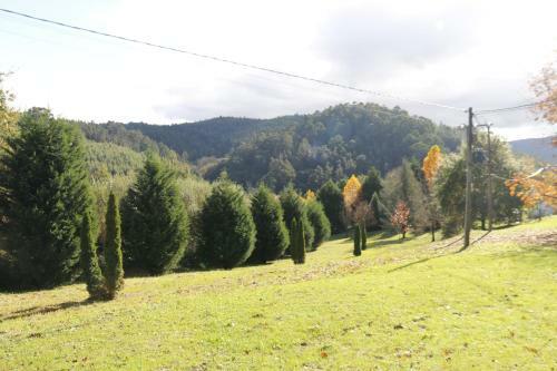 Albergue Hospeder�a San Jos�
