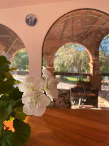 Casa Rural El Para�so I
