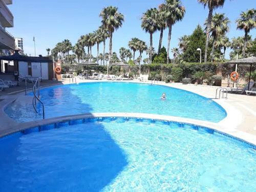Apartamento Costa Marina En Primera Linea