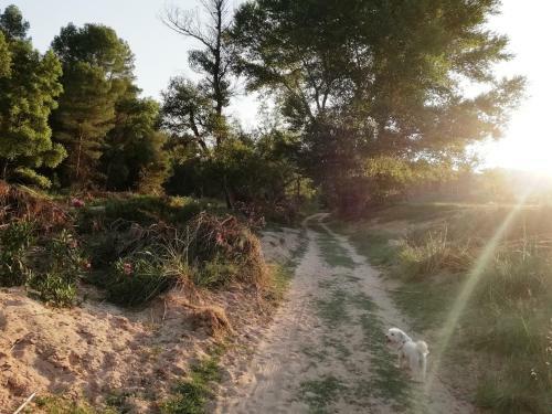 Agroturismo Casa Rural E Puente Del Segura