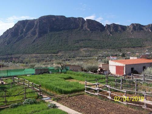 Casa Rural Altozano Elche de La Sierra