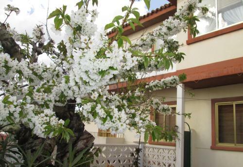 Apartamento Cuencaloft El Patio de Pipo