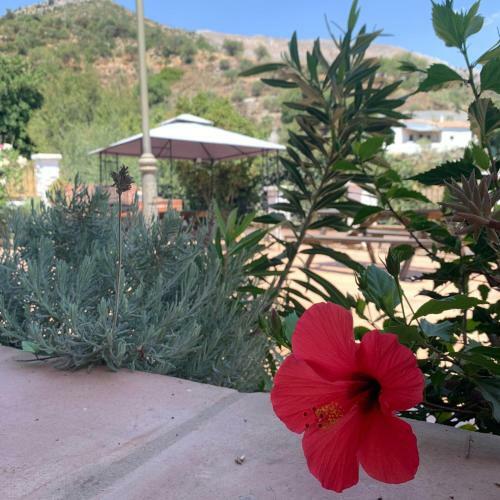 Casa Rural La Teja (Caminito Del Rey)