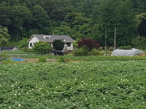 Shimtoong Family Home