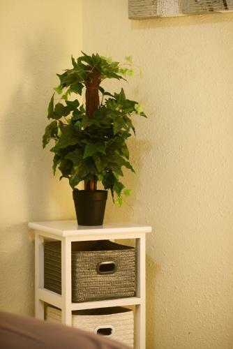Apartamento Laislahouse