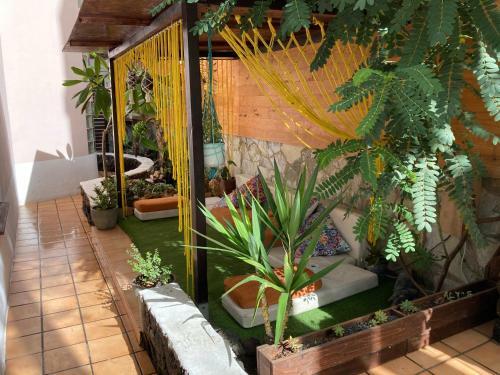 Albergue Corralejo Garden&relax