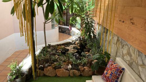 Albergue Corralejo Garden&relax