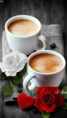 Bed & Breakfast Flexi Dreams Hospitality Services