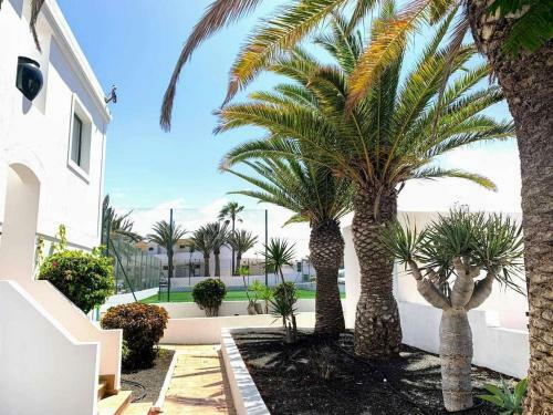 Apartamento Butterfly Residencial San Valentin Corralejo