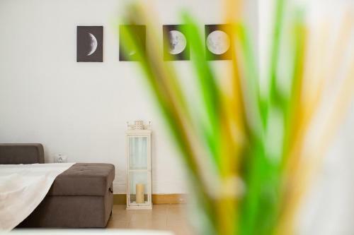 Apartamento Lima Waikiki Beach