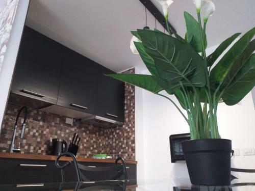 Apartamento Loft 113