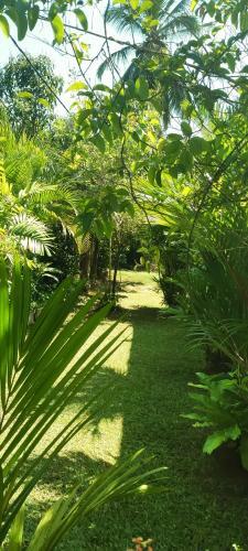 Bed & Breakfast Indrani Inn Tourist Rest