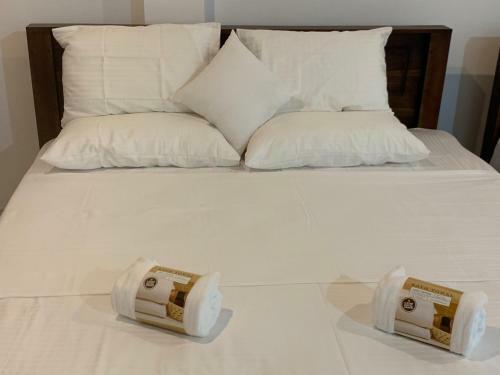 Hostal Sasen Villa Anuradhapura