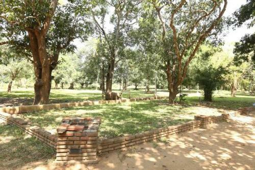 Bed & Breakfast Mango Tree Rest Anuradhapura Sri Lanka