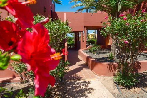 Apartamento La Rosa Dei Venti