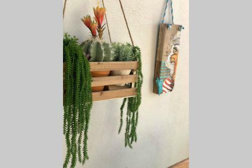 Apartamento Marea Fuerteventura Home